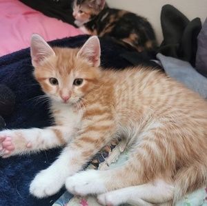 Meet your Posher, Eva